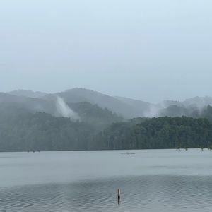 Meet your Posher, Sofia